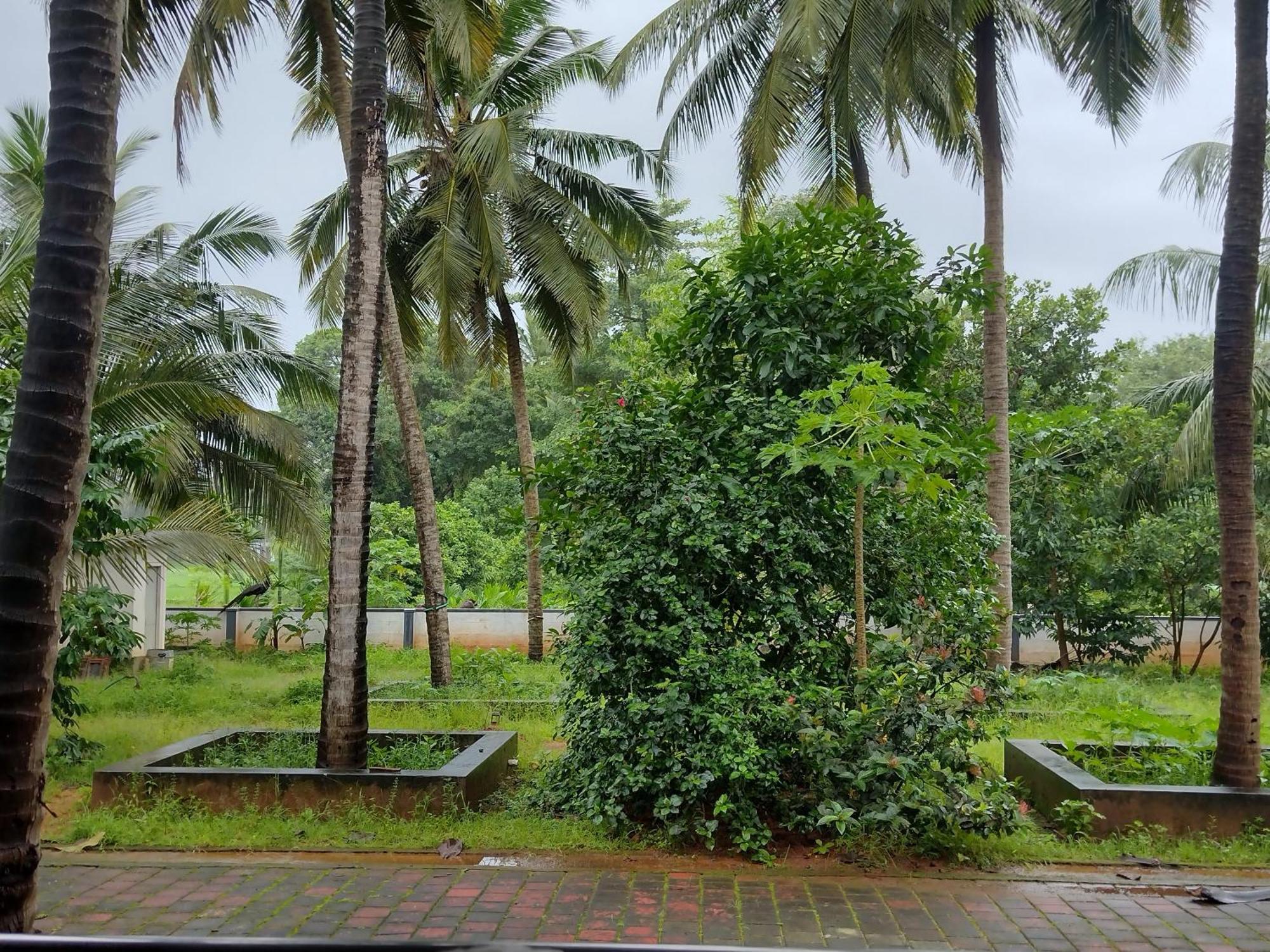 Jayadurga Farms - An Eco-Friendly Homestay Udupi Exterior photo